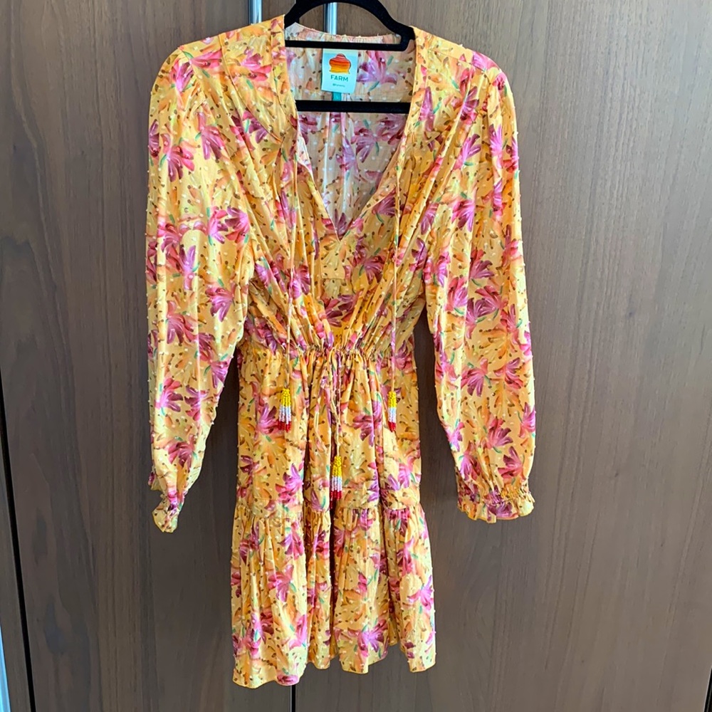 Farm Rio mini floral dress